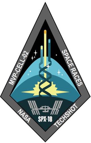 Patch design commemorates the collaboration between NASA and Techshot on the MVP-Cell-02 space experiment