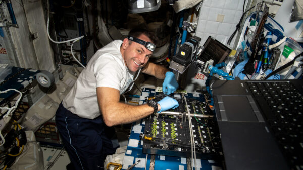 Caption: NASA astronaut Josh Cassada works with the PH-03(A) experiment on the International Space Station. (Credit: NASA)