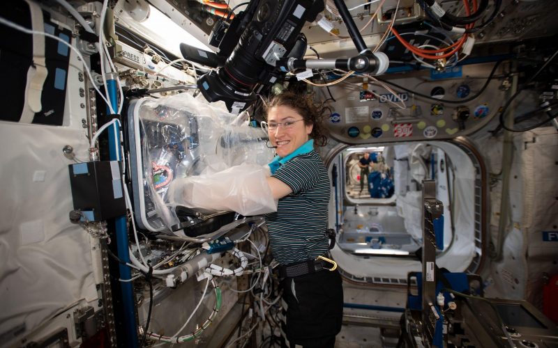 NASA Astronaut Christina Koch works with the 3D BioFabrication Facility on the International Space Station. (Credit: NASA)