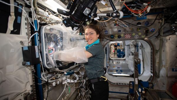 NASA Astronaut Christina Koch works with the 3D BioFabrication Facility on the International Space Station. (Credit: NASA)