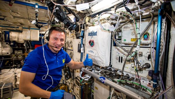 Expedition 60 Flight Engineer Andrew Morgan of NASA works with BFF Credit: NASA